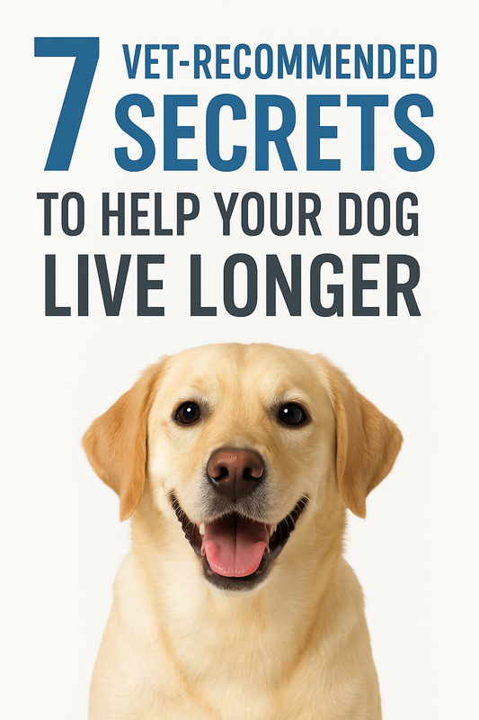 🐶 7 Vet-Recommended Secrets to Help Your Dog Live Longer – Daily Habits for a Healthy Life