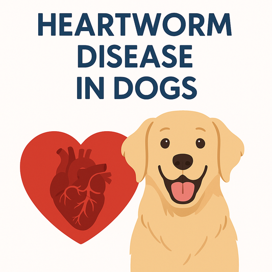 🐶 Heartworm Disease in Dogs – Symptoms, Prevention, and Treatment Guide