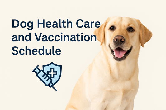 🐶 Dog Health Care and Vaccination Schedule – Complete Guide for Pet Owners