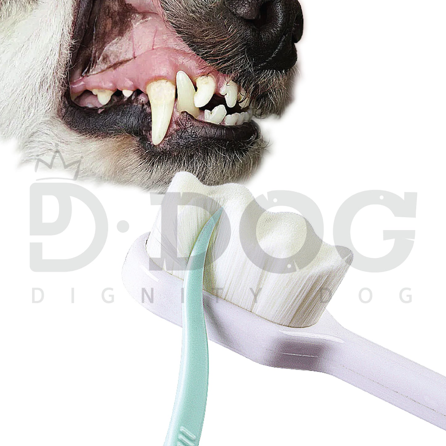 【 DIGNITY DOG 】 WAVE PET TOOTHBRUSH Black & White