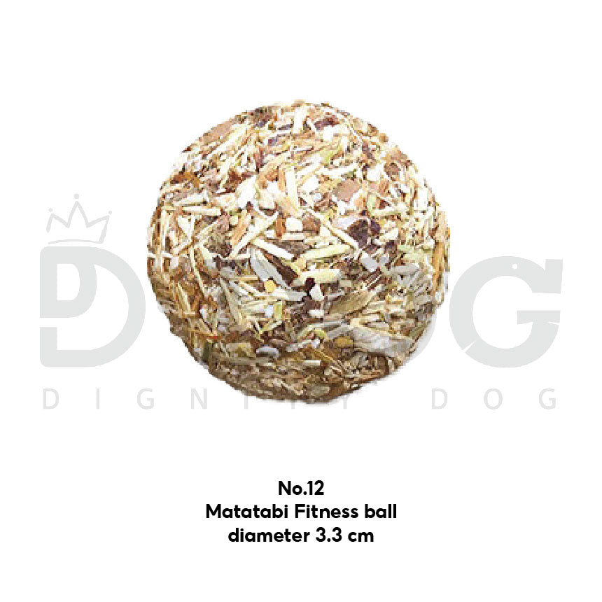 【 CAT WANT 】NATURAL CATNIP TOY FOR CATS