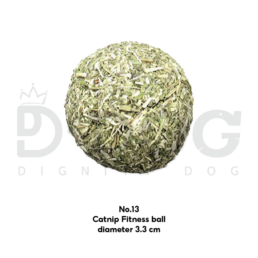 【 CAT WANT 】NATURAL CATNIP TOY FOR CATS