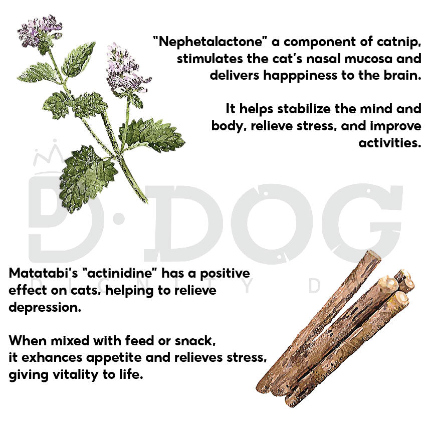 【 CAT WANT 】NATURAL CATNIP TOY FOR CATS