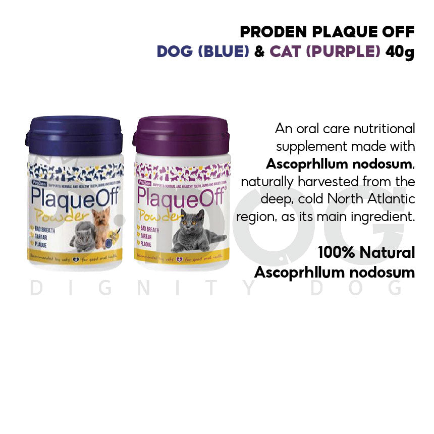 【 PRODEN 】PLAQUE OFF FOR PET 3 TYPES