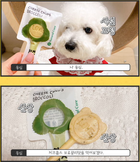 【 NATURAL CORE 】 CHEESE CHUPS 16g