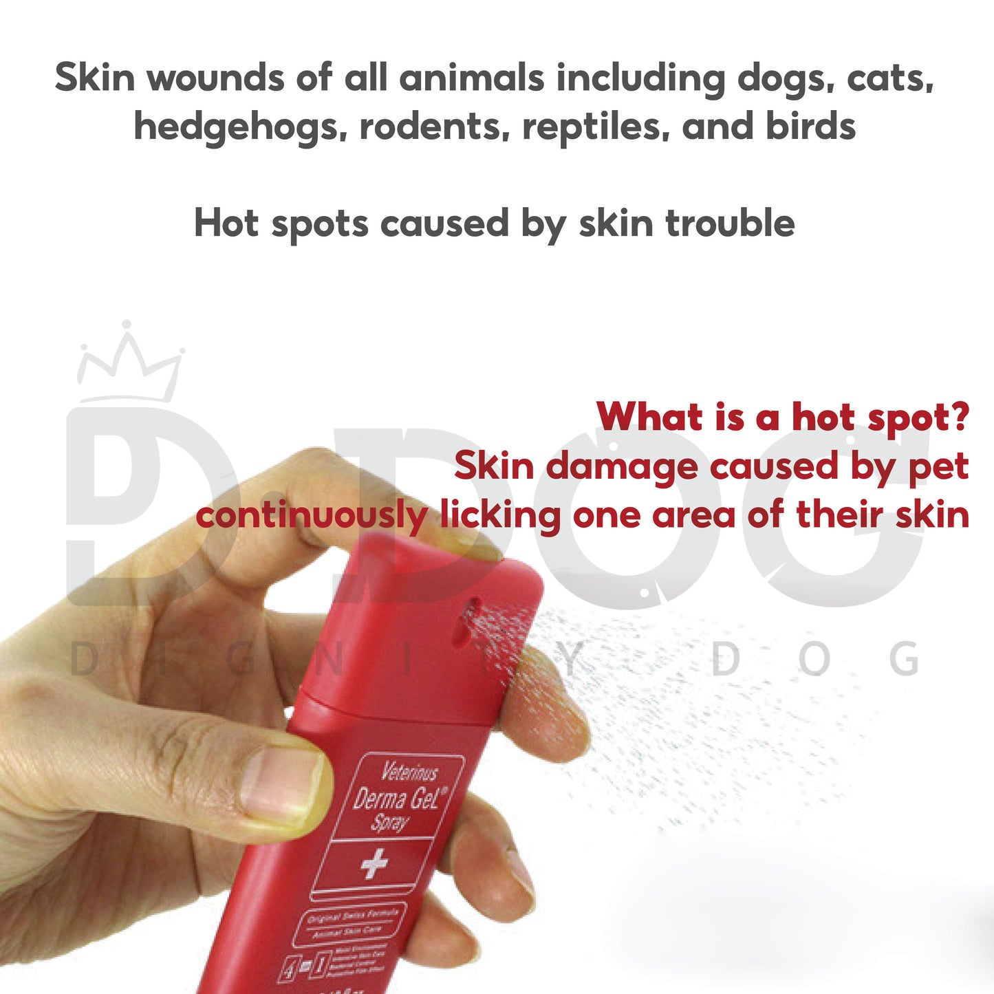 【 DERMA GEL 】10M/20ML SKIN OINTMENT