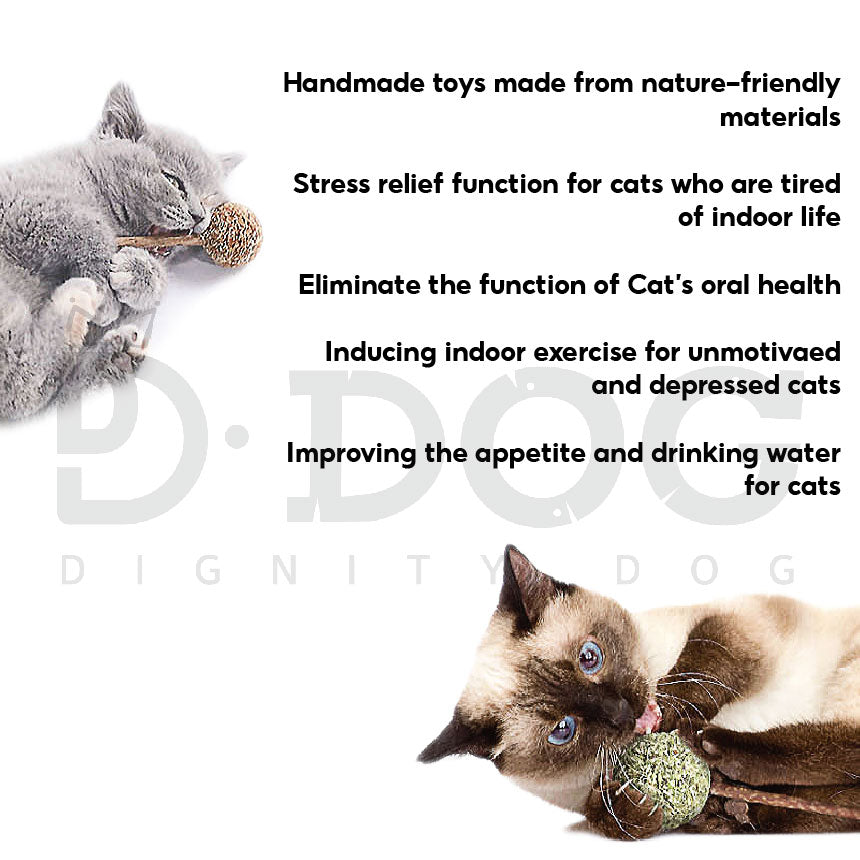 【 CAT WANT 】NATURAL CATNIP TOY FOR CATS
