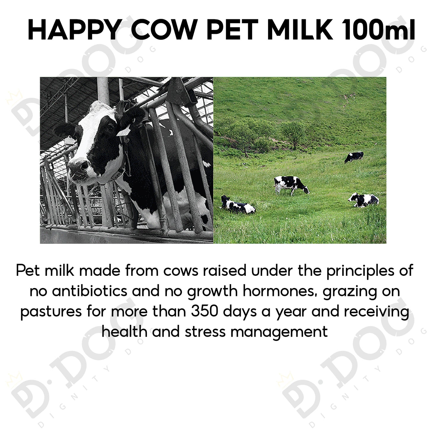 【 PET THINK 】 HAPPY COW pet milk 100ml