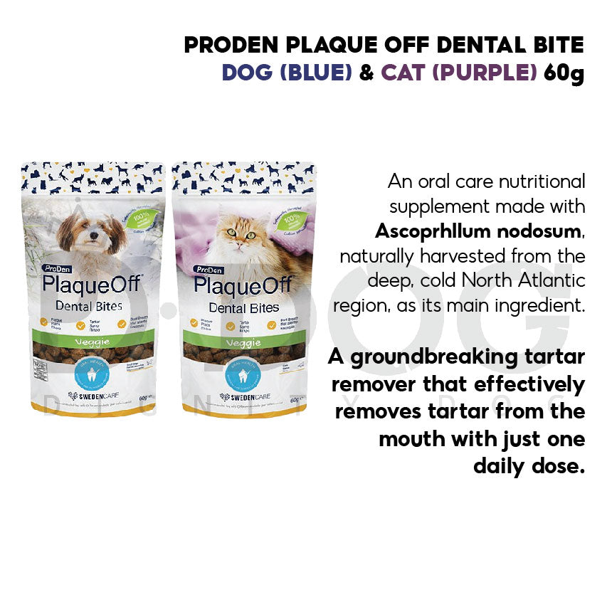 【 PRODEN 】PLAQUE OFF FOR PET 3 TYPES