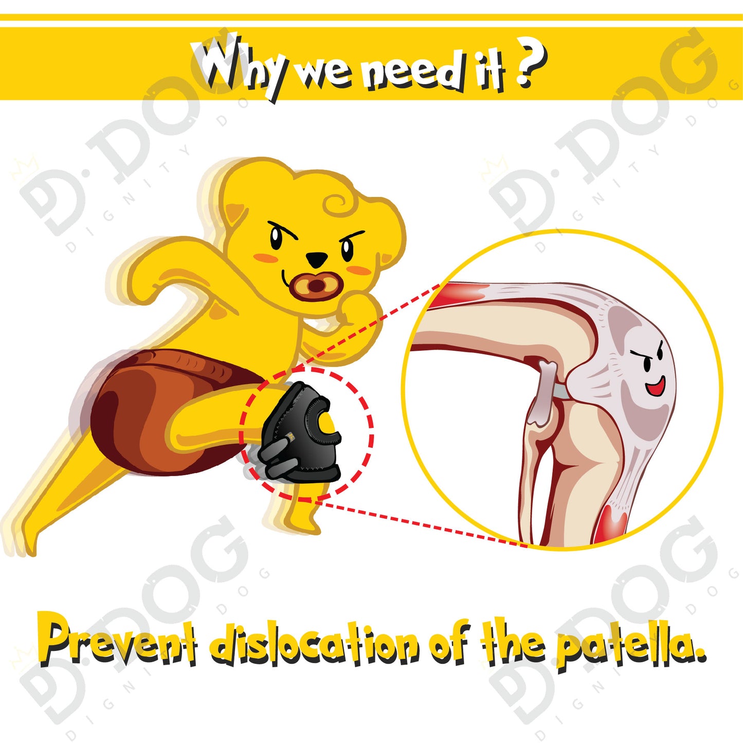 【 DIGNITYDOG 】 DOG PATELLA BRACE HOCK PROTECTOR