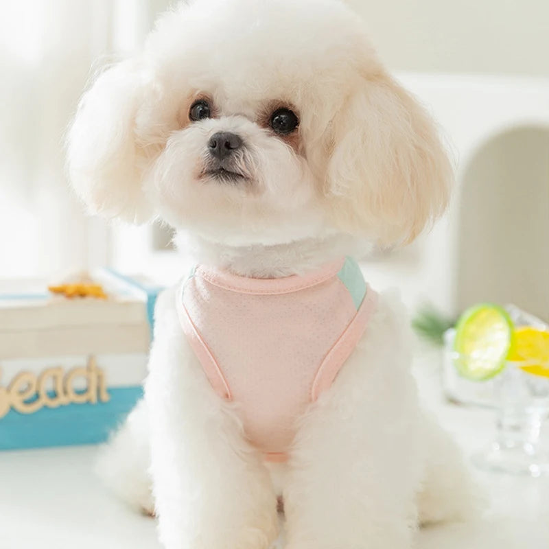 Thin Summer Dog Cooling Vest Pet Dog T Shirt Fashion Dog Sunscreen Pet Dog Clothes with Buckle Breathable Mesh Puppy Costumes