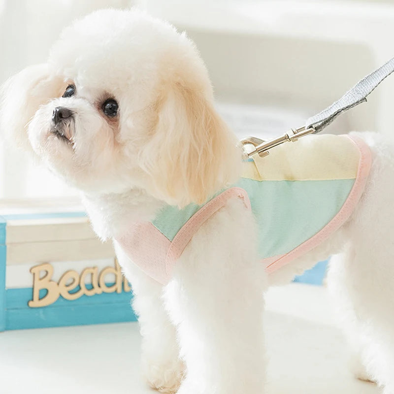 Thin Summer Dog Cooling Vest Pet Dog T Shirt Fashion Dog Sunscreen Pet Dog Clothes with Buckle Breathable Mesh Puppy Costumes