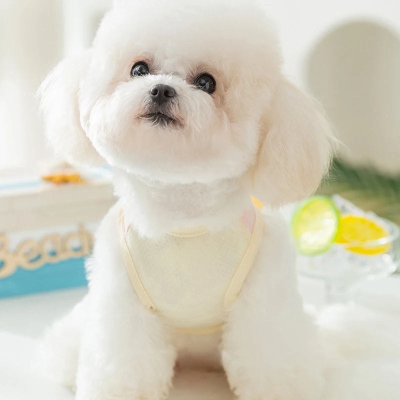 Thin Summer Dog Cooling Vest Pet Dog T Shirt Fashion Dog Sunscreen Pet Dog Clothes with Buckle Breathable Mesh Puppy Costumes