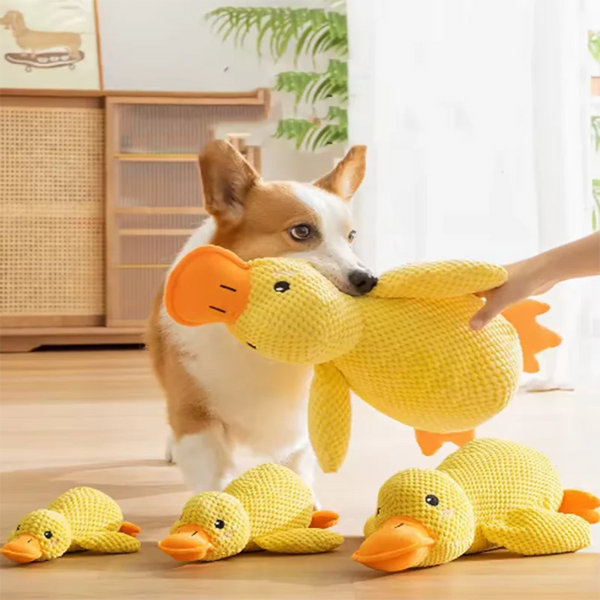 Calm & Play Dog Duck Toy