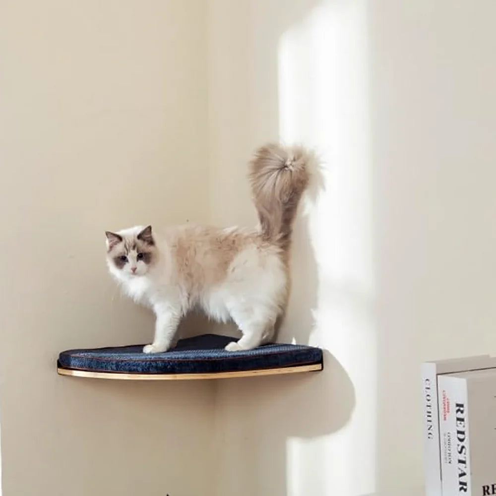 Ultimate Climbing Cat Paradise