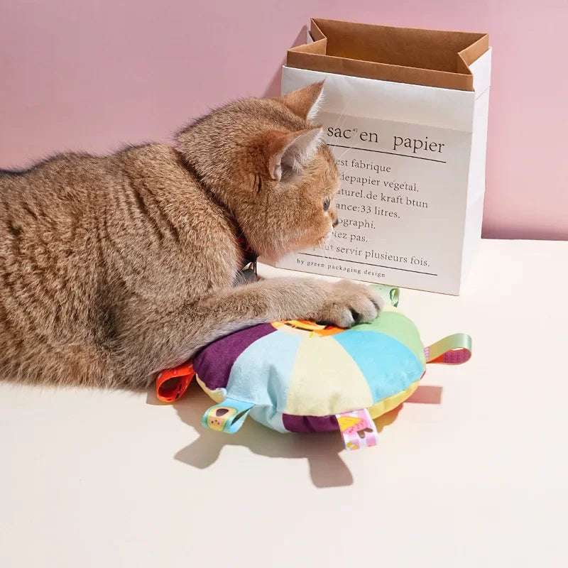 Rainbow Plush Dog Frisbee Fun