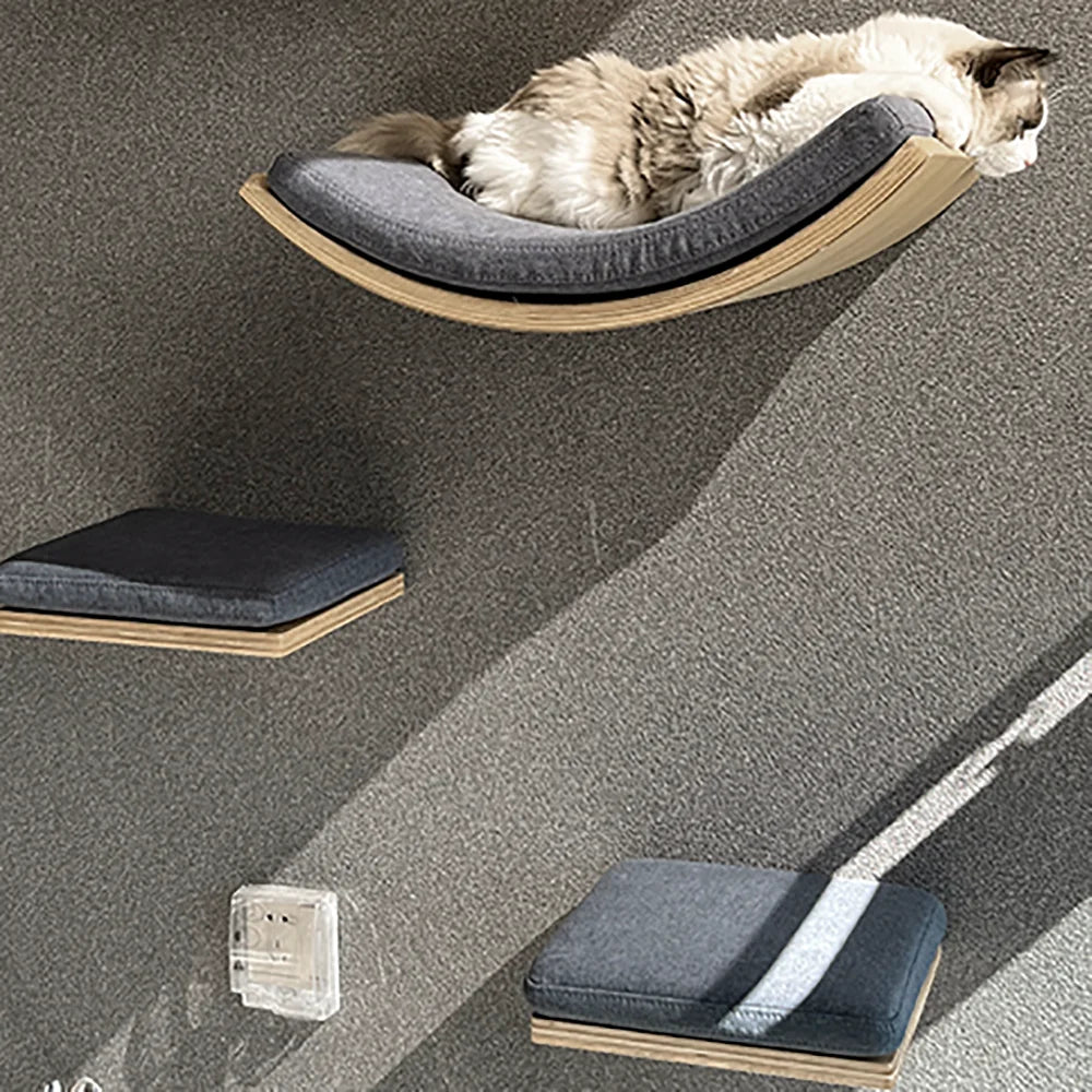 Ultimate Climbing Cat Paradise