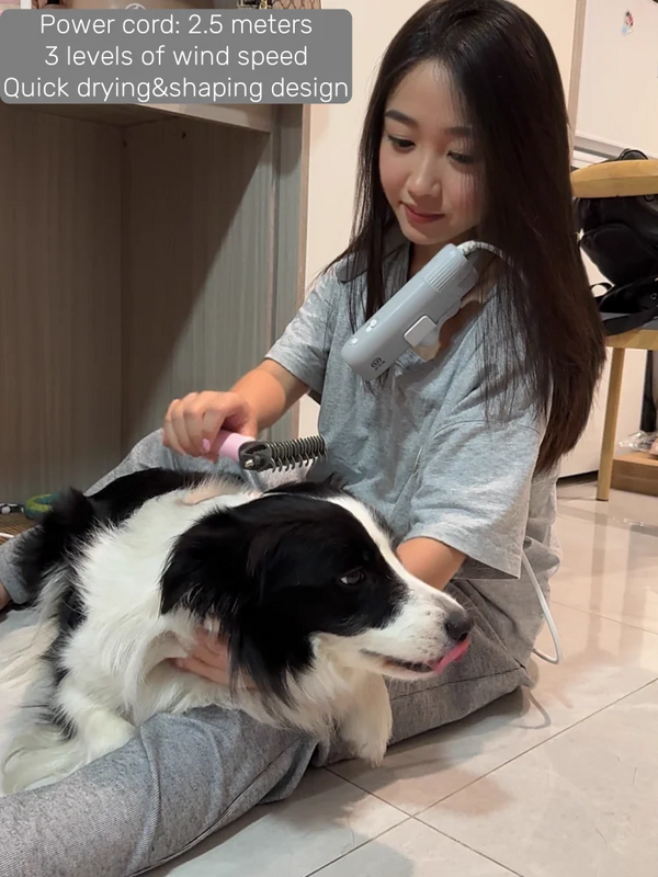Pet Styling Quick-Dry Blower