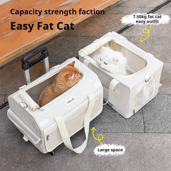 Double Decker Cat Carrier