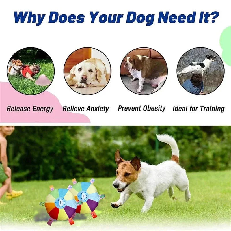 Rainbow Plush Dog Frisbee Fun