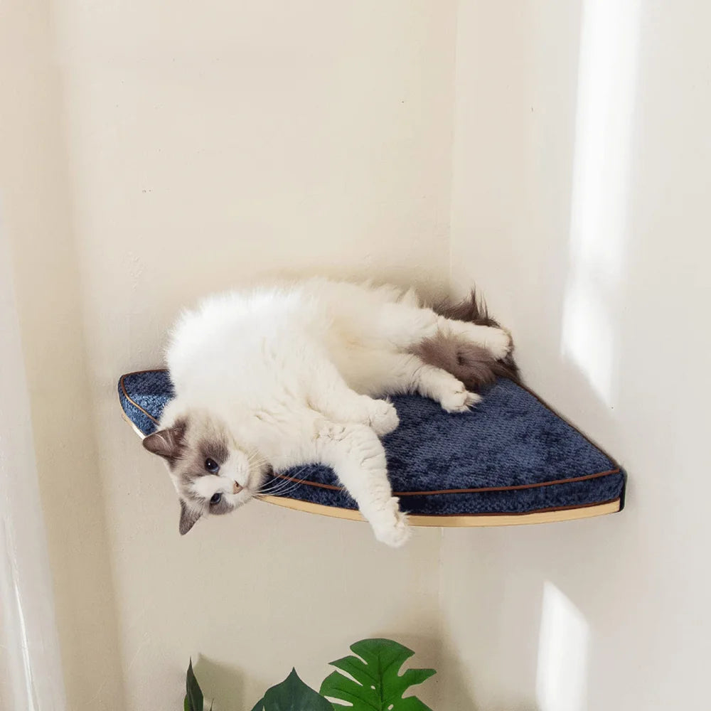Ultimate Climbing Cat Paradise