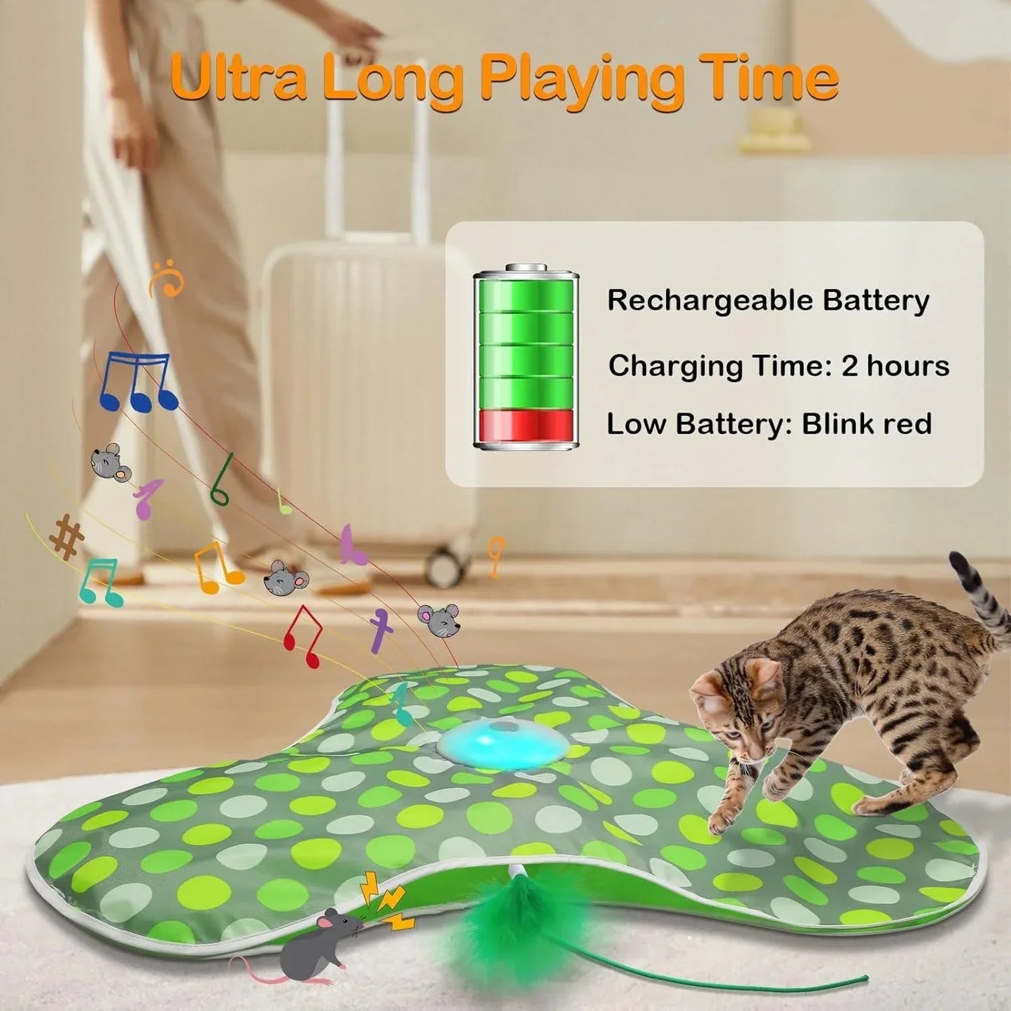 Whisker Wonderland Cat Toy