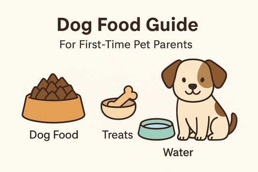🐾 Beginner’s Guide to Dog Food: For First-Time Pet Parents