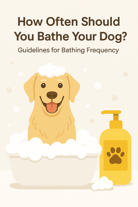 🧼 How Often Should You Bathe Your Dog?