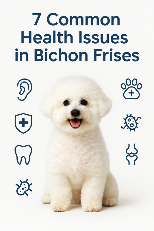 🐶 7 Common Health Issues in Bichon Frises – Prevention and Care You Need to Know