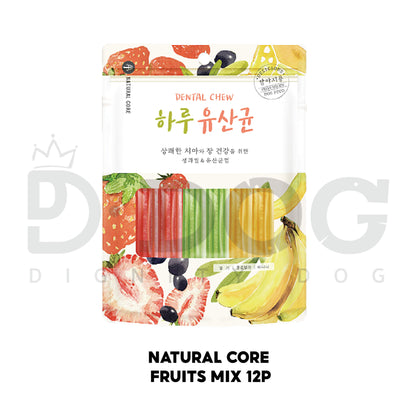 【 NATURAL CORE 】 EVERY DENTAL CHEW 12P