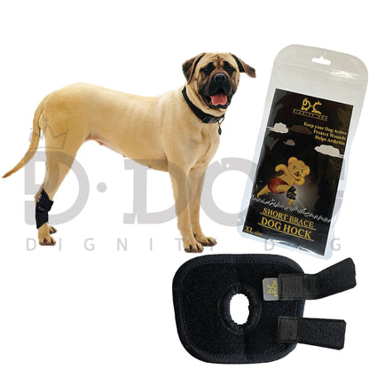 【 DIGNITYDOG 】 DOG PATELLA BRACE HOCK PROTECTOR