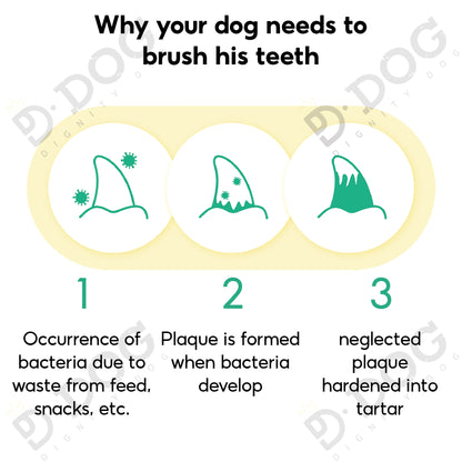 【 PET THINK 】 HARUCHIKA DENTAL CLEAN 60g