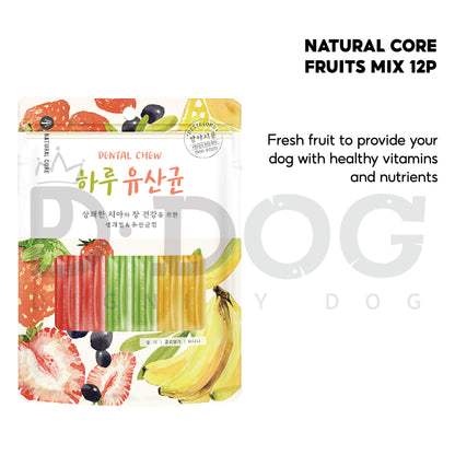 【 NATURAL CORE 】 EVERY DENTAL CHEW 12P