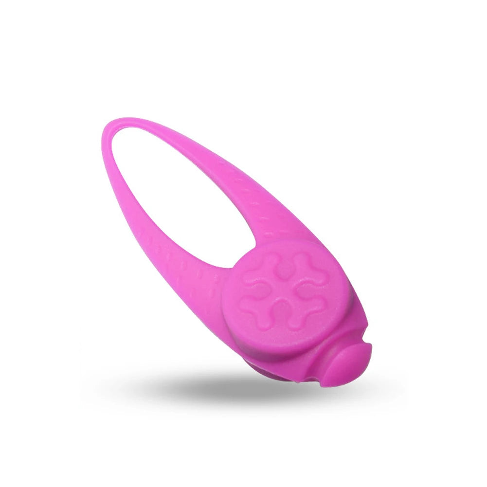 LED Pet Safety Necklace Glowing Pendant for Night Walks