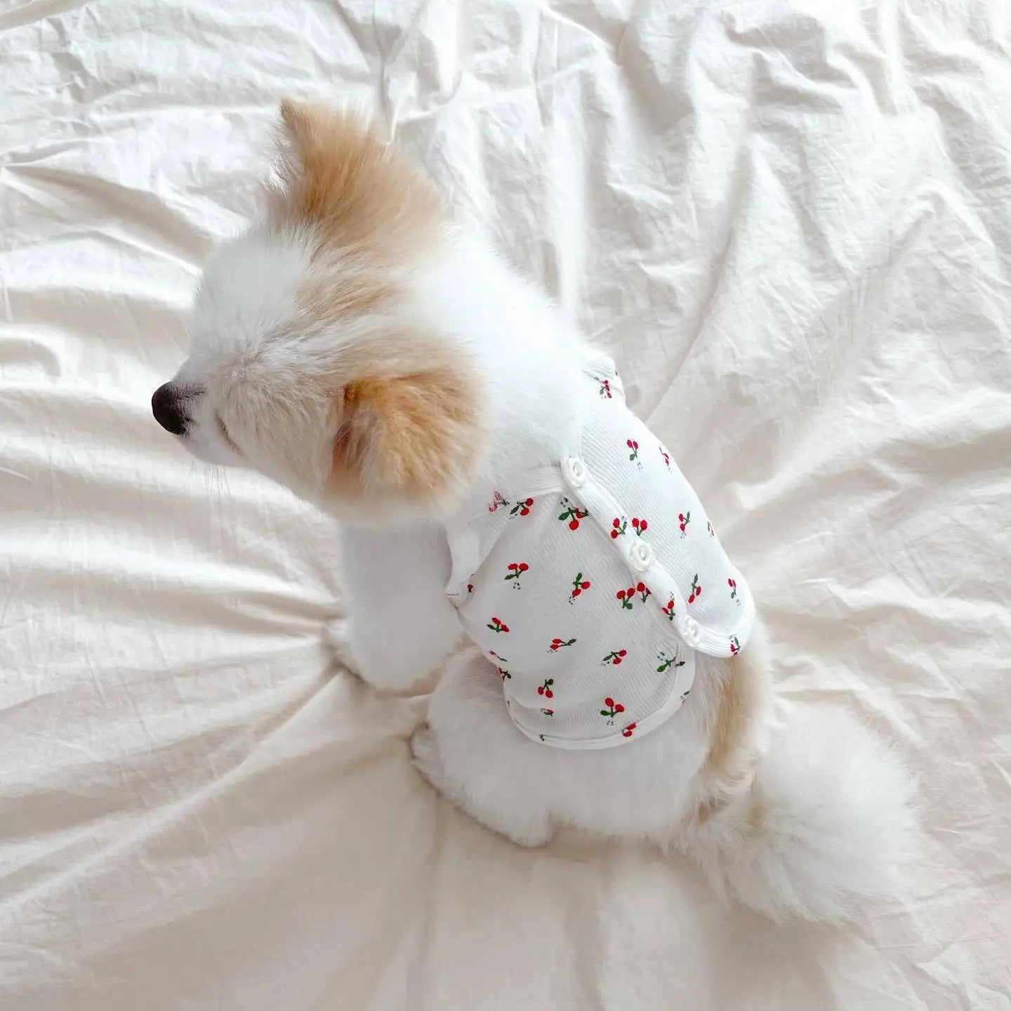 Spring and Summer Fresh Cherry Strap Cute Buckle Strap Teddy Bears Dog Small Puppy Two Legged Clothes Cat Tank Top Pet Clothes