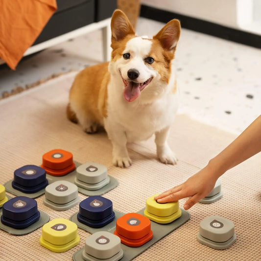 Dog Talking Button Set Pet Communication Training Toy (Includes Pad & Stickers)