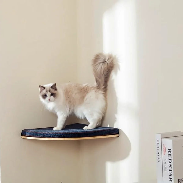 Ultimate Climbing Cat Paradise