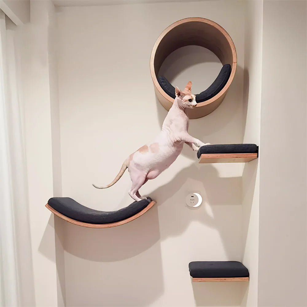 Ultimate Climbing Cat Paradise