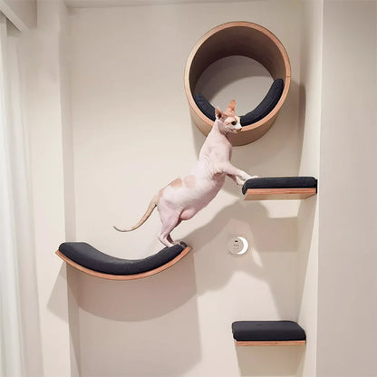 Ultimate Climbing Cat Paradise