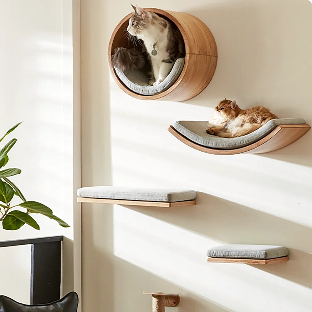 Ultimate Climbing Cat Paradise